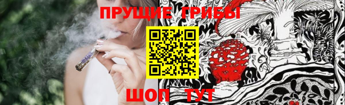 Надым  Галлюциногенные грибы Cubensis  Вход с VPN 